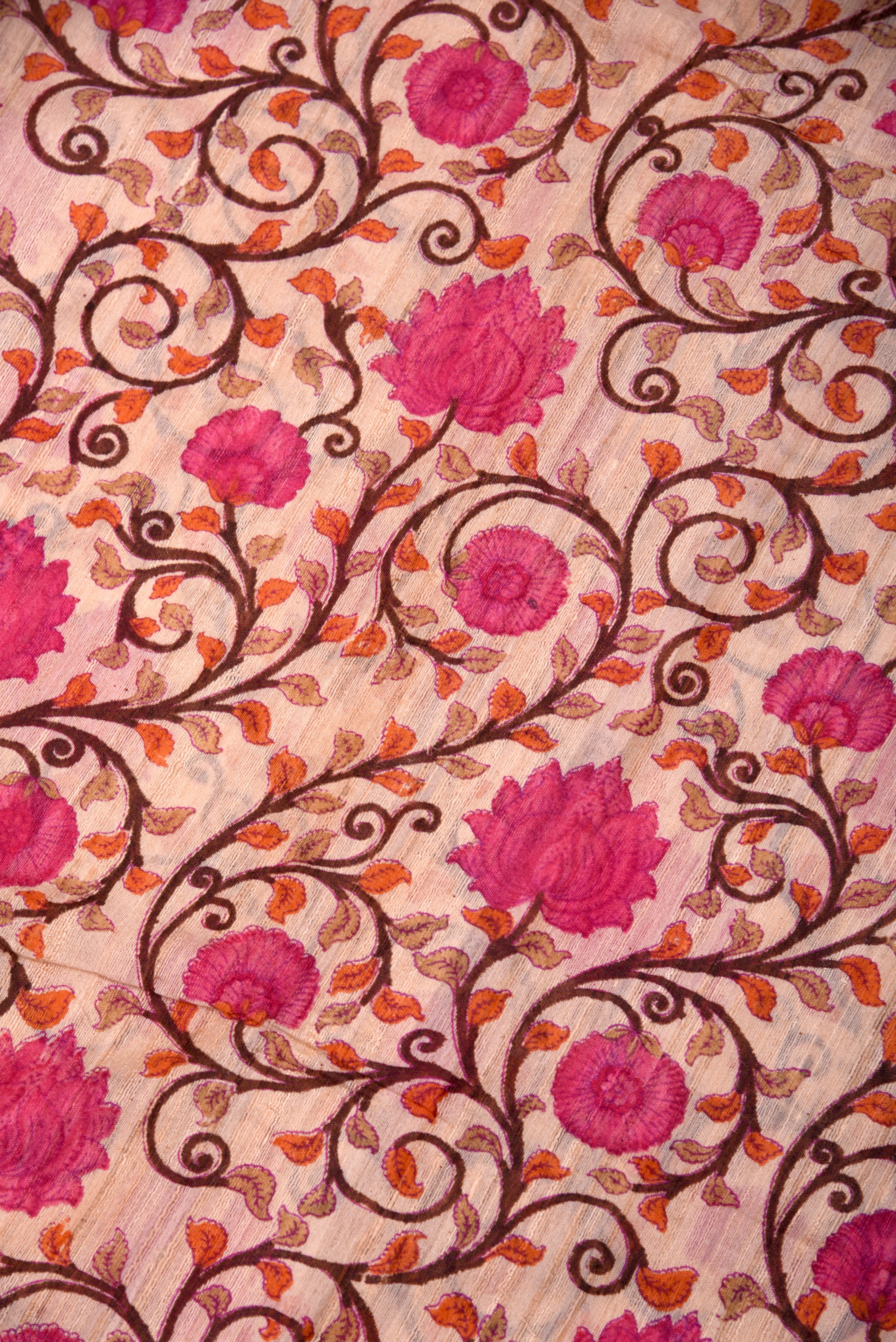 Raw Silk handloom printed saree