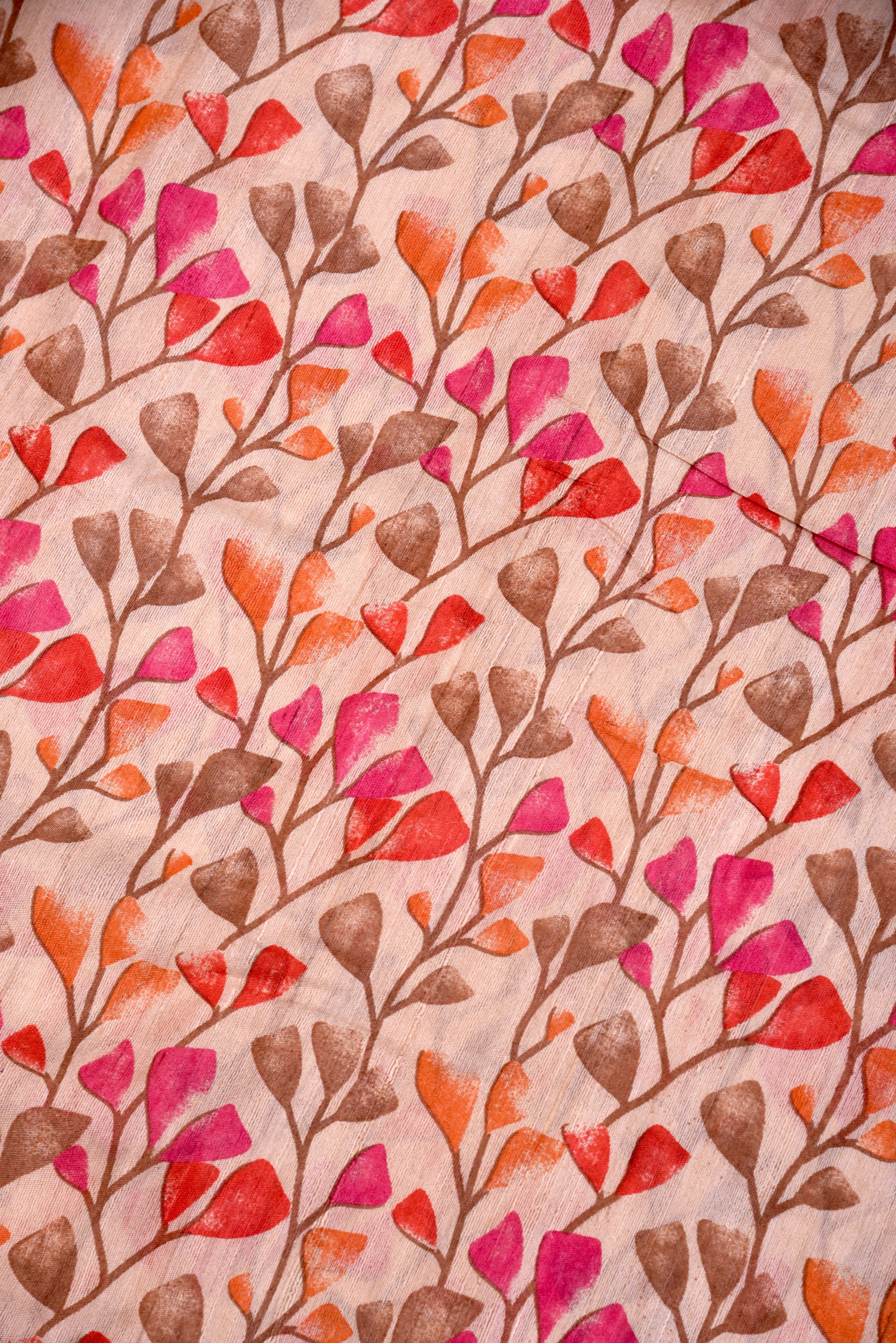 Raw Silk handloom printed saree