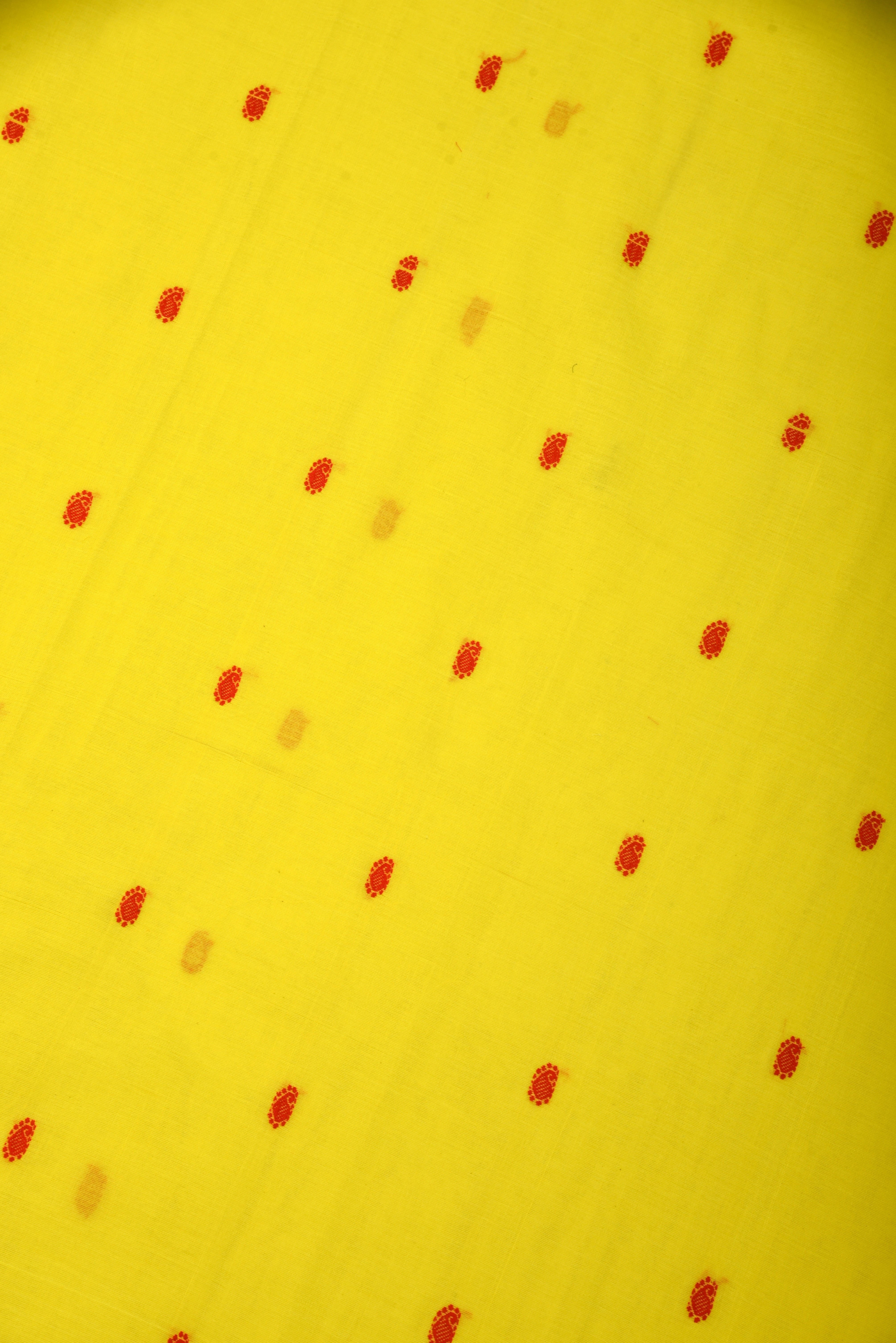 Paithani Cotton handloom saree