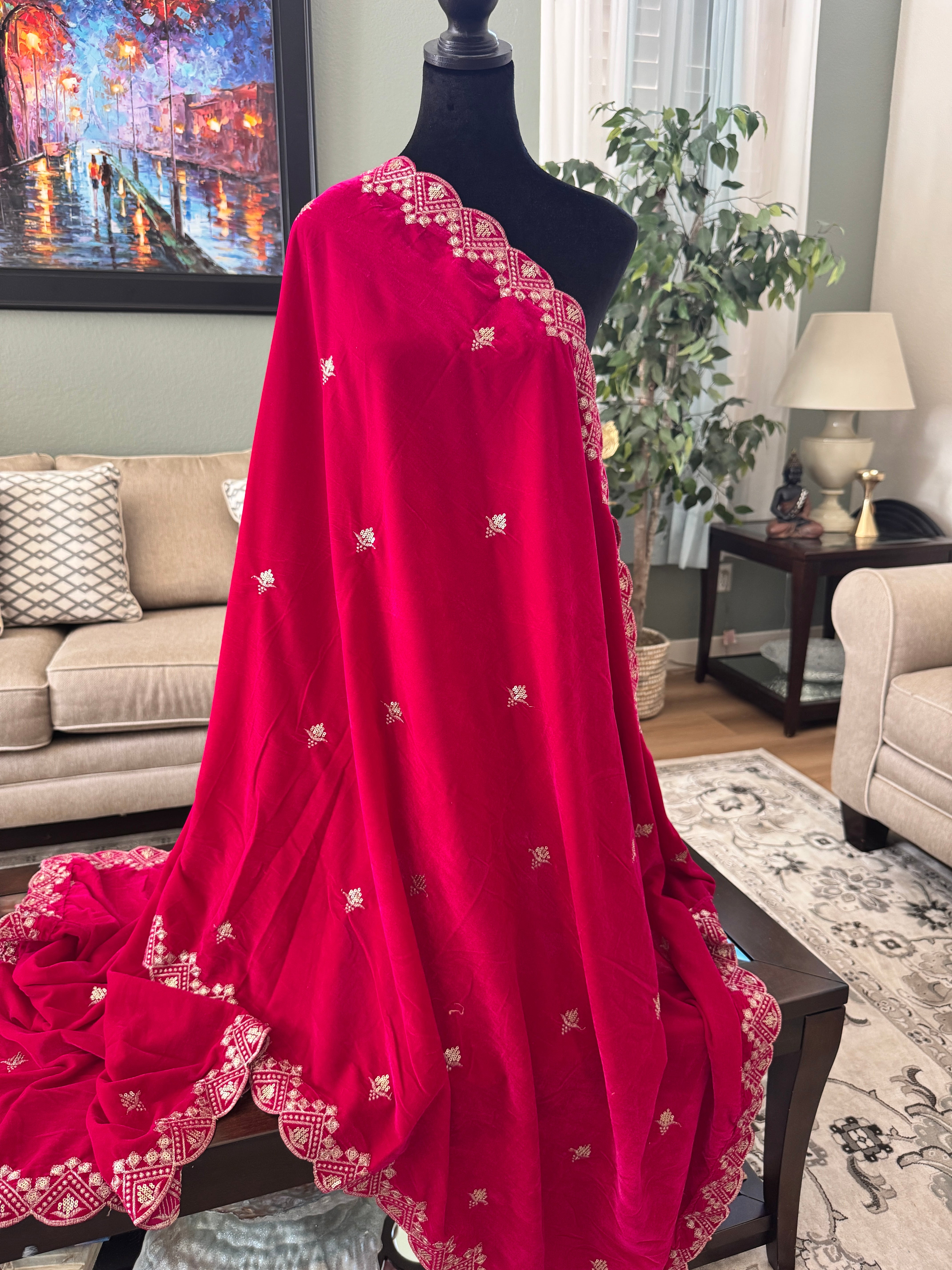 Velvet Sequence Cutwork dupatta - pink