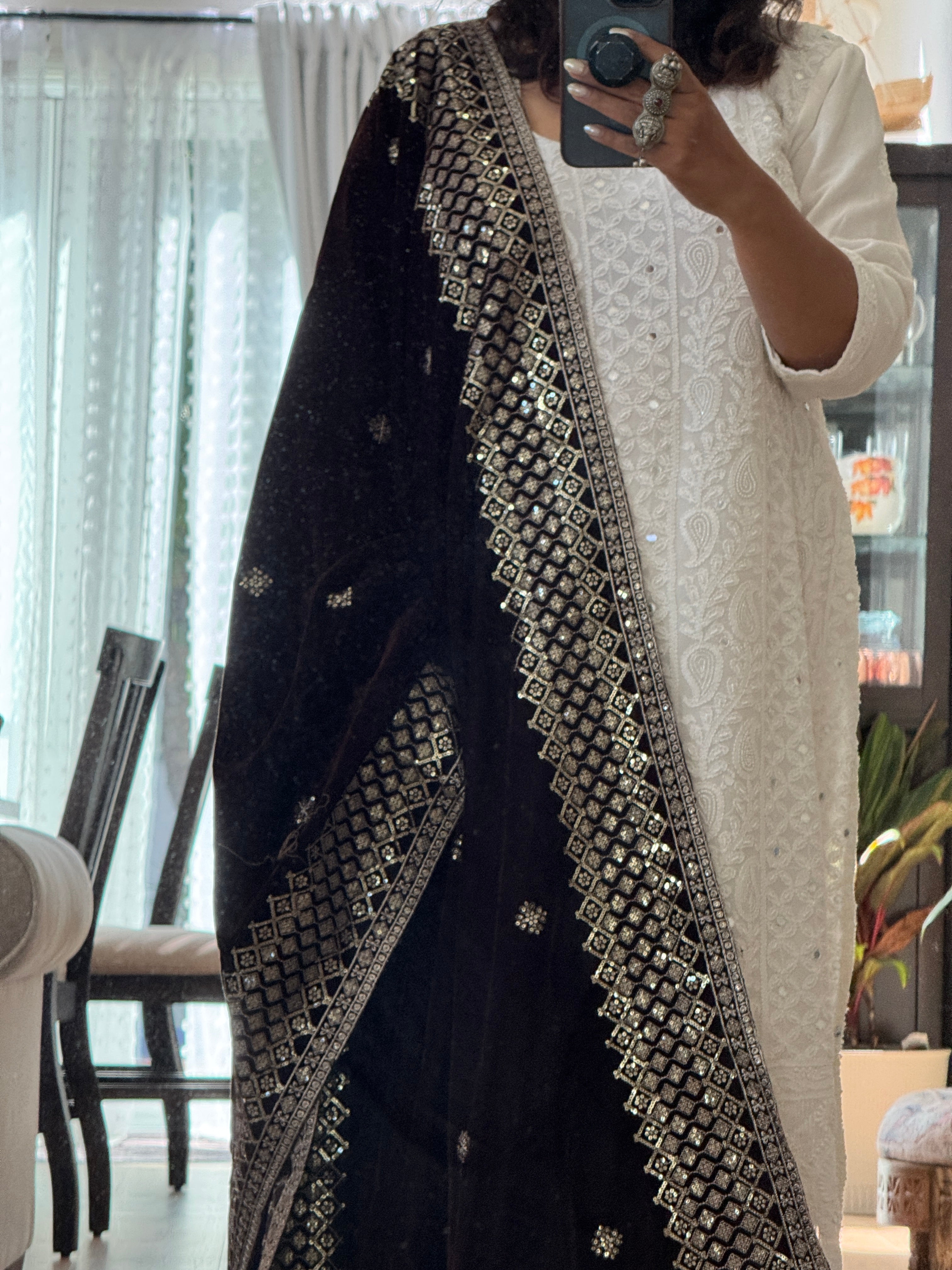 Velvet Sequence Border dupatta - dark brown