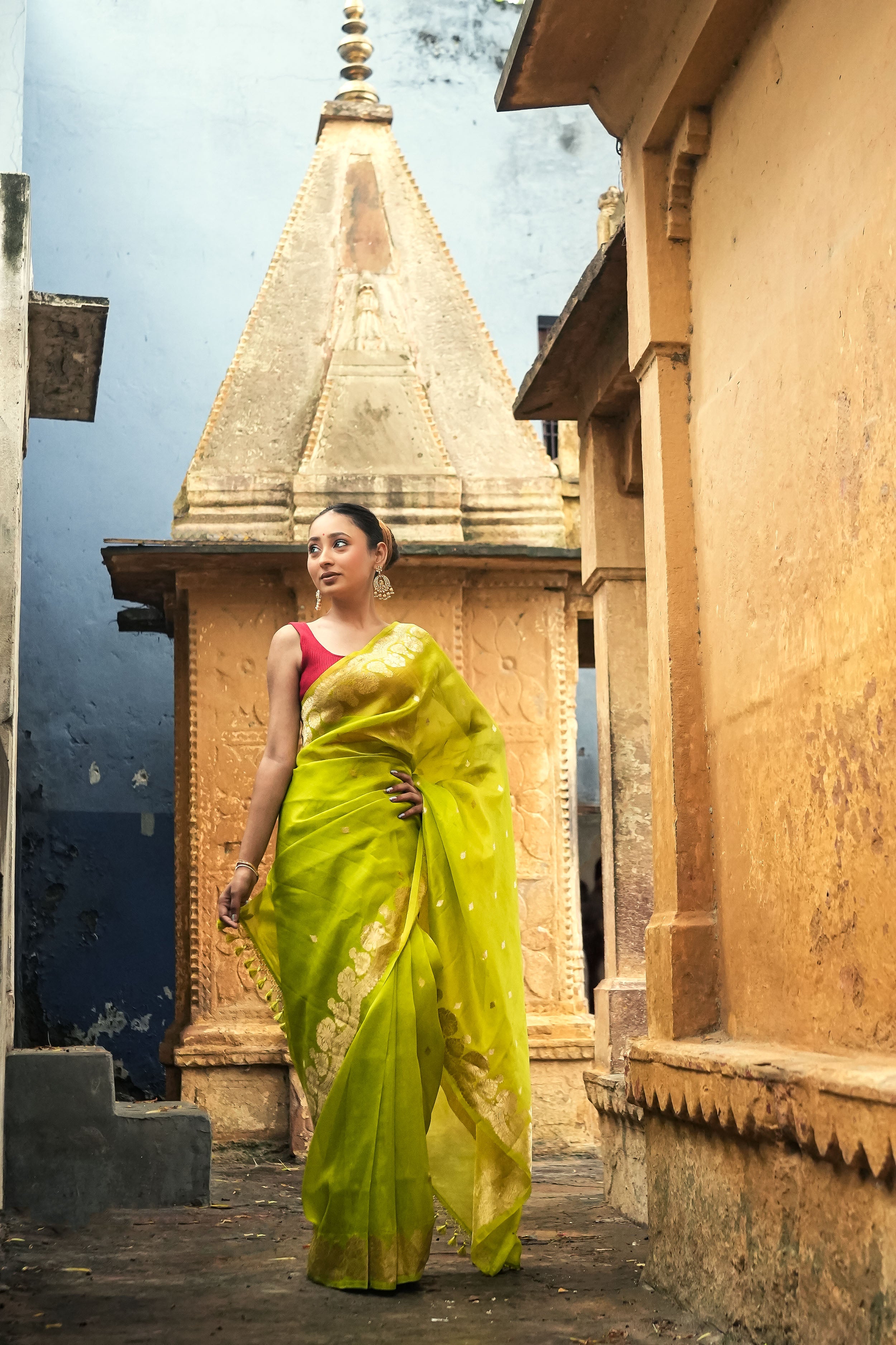 Banarasi Kora Organza Silk Saree