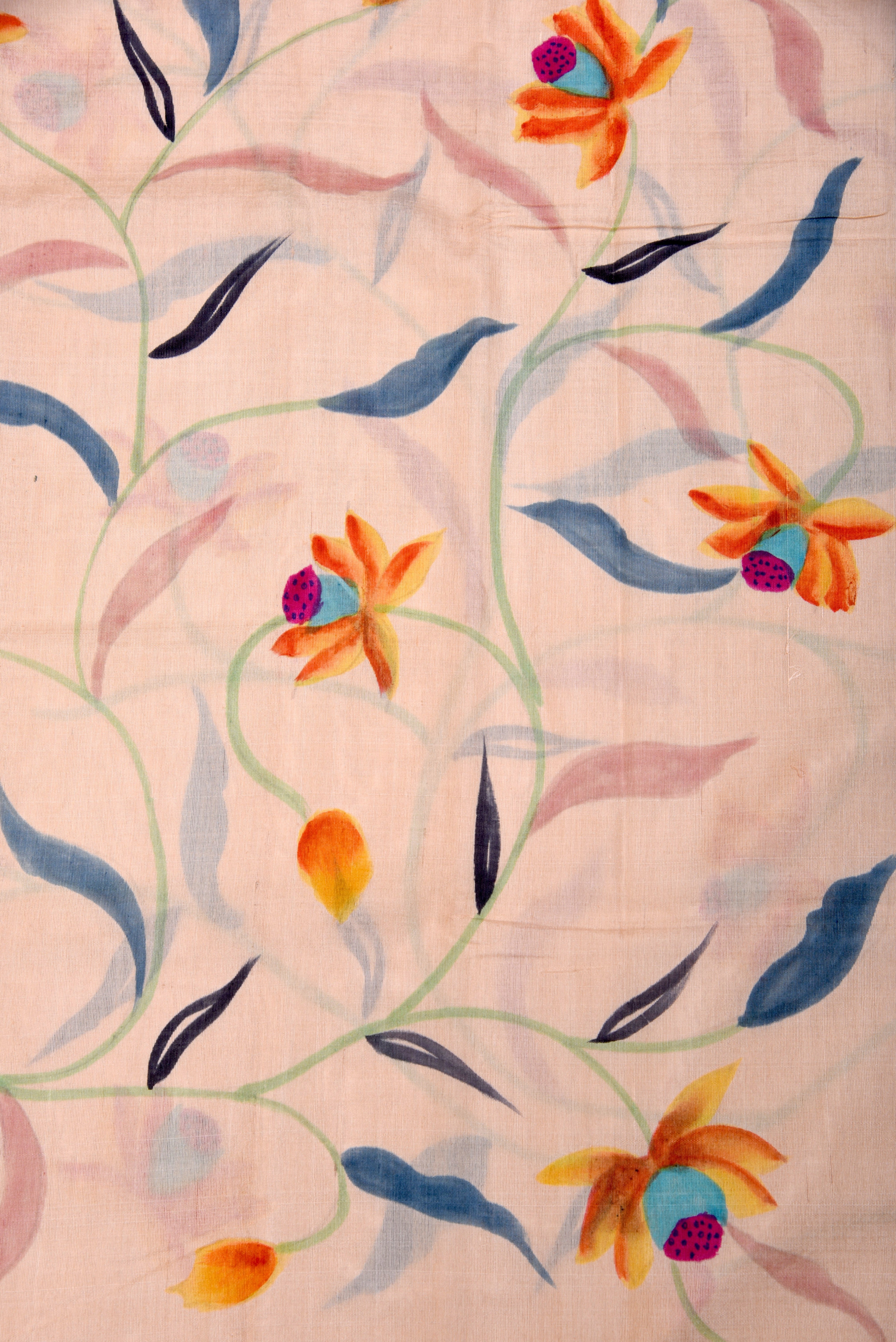 Raw Silk handloom printed saree