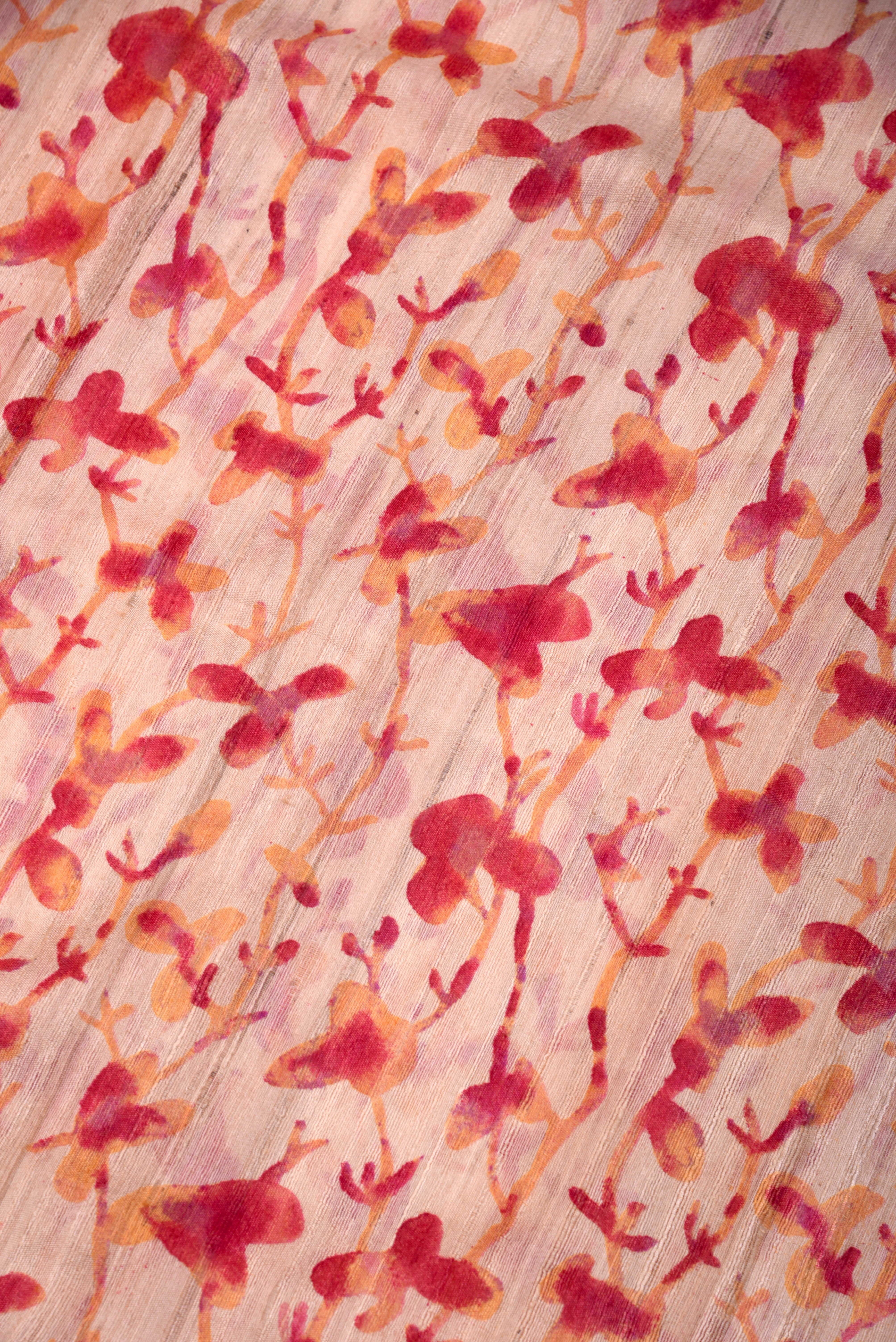 Raw Silk handloom printed saree