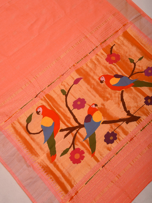 Paithani Cotton handloom saree