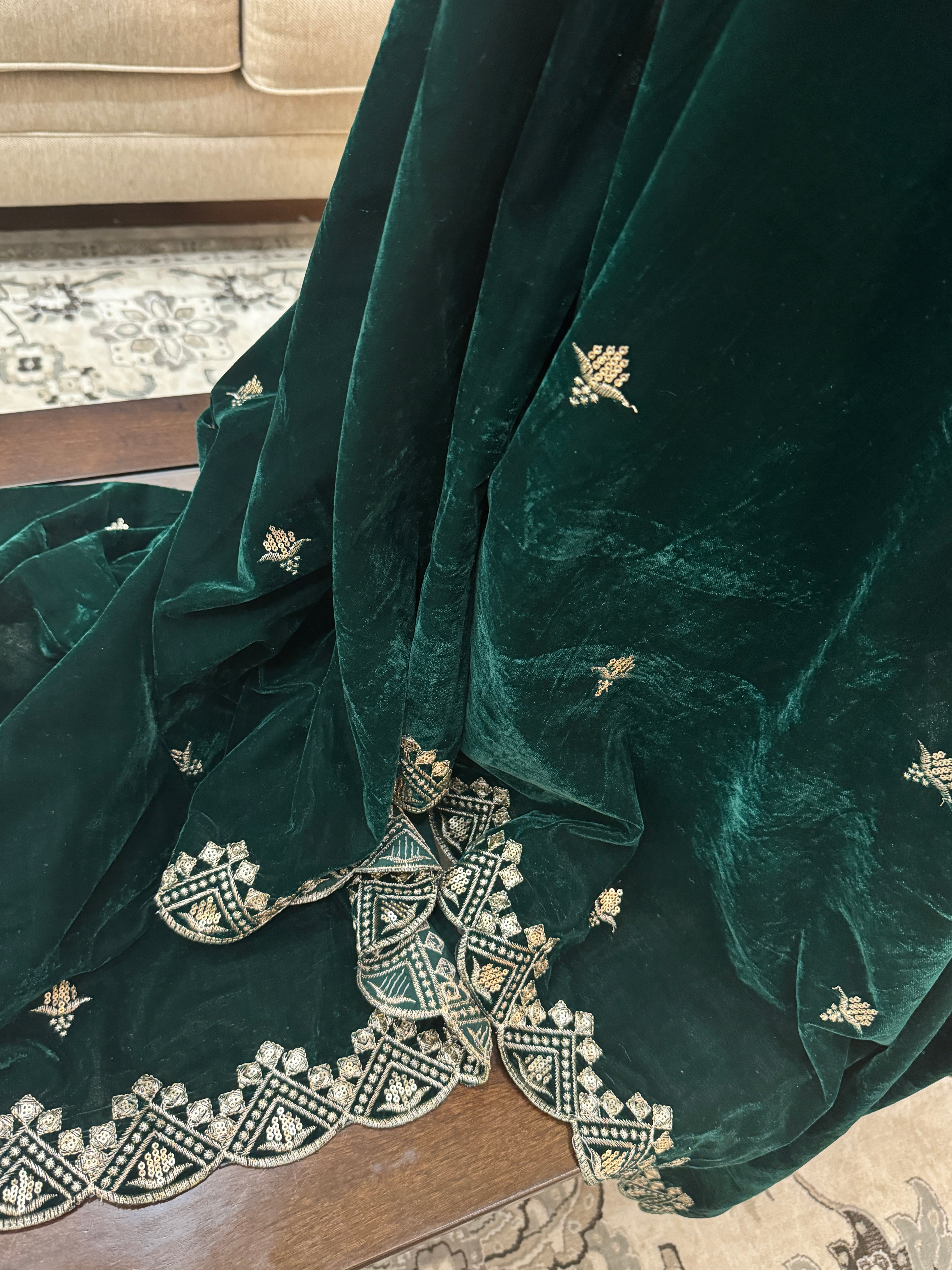 Velvet Sequence Cutwork dupatta - green