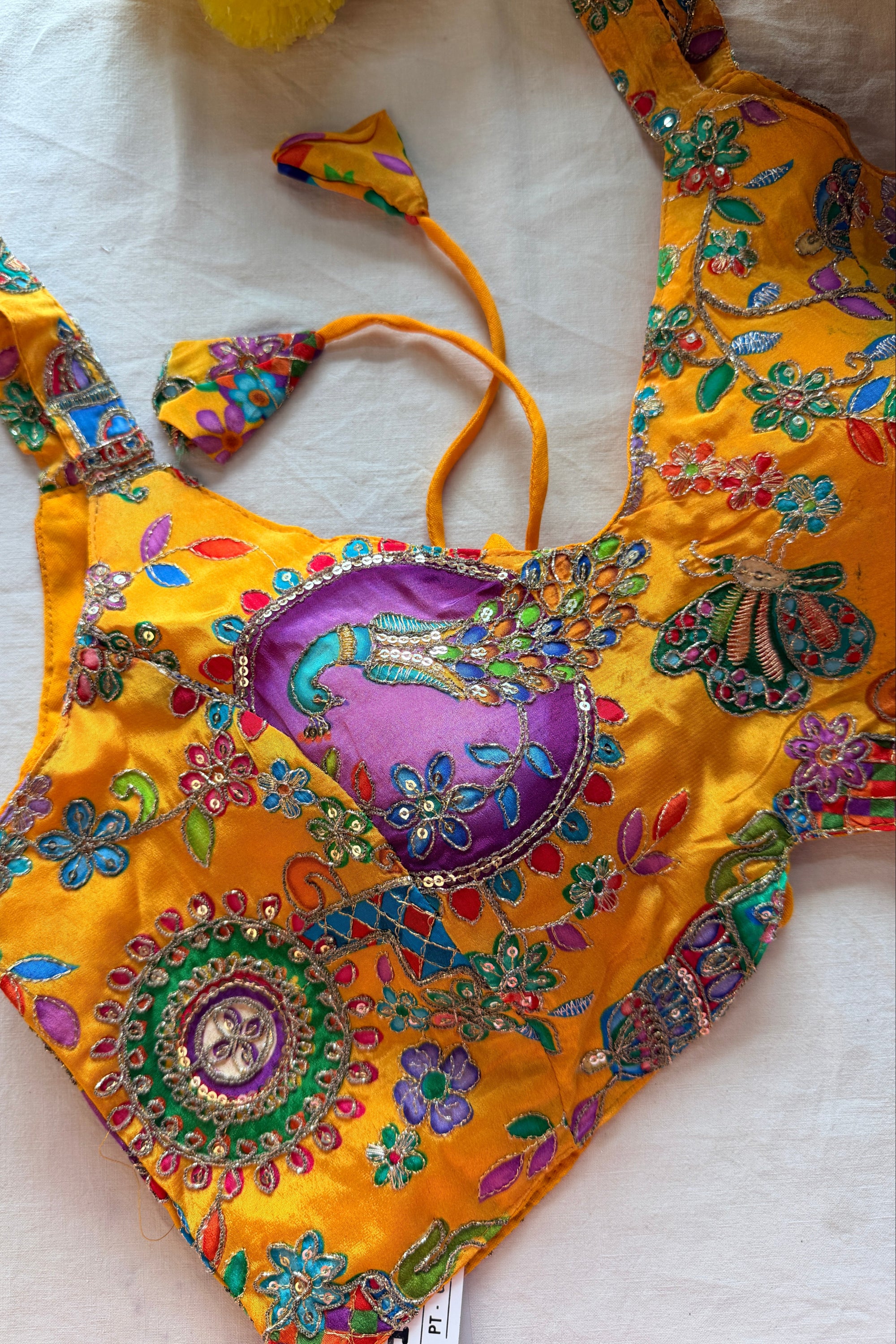 Raw Silk Zardozi padded sleeveless blouse with back dori