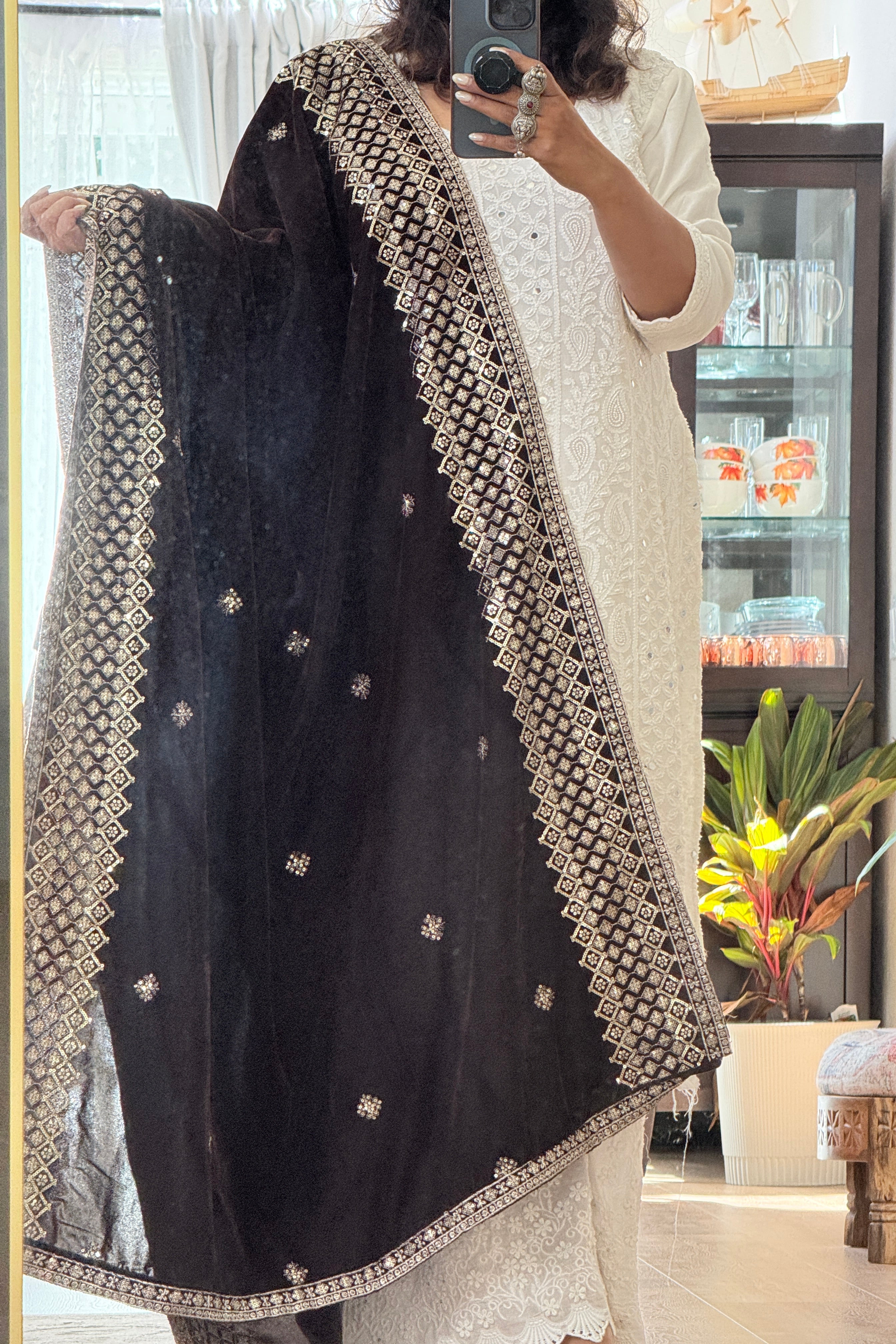 Velvet Sequence Border dupatta - dark brown