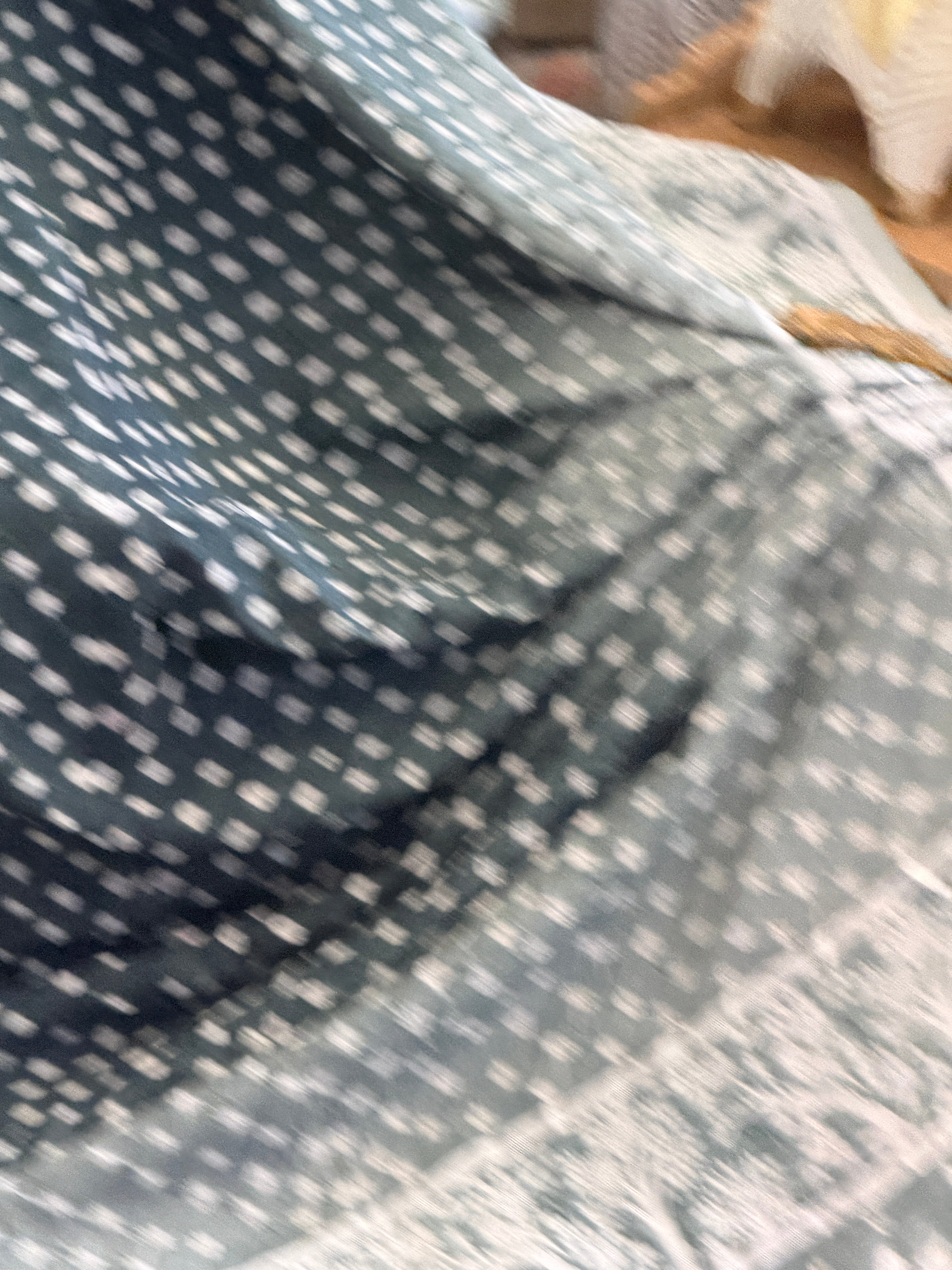 Bandhani Saree With Bird Motif