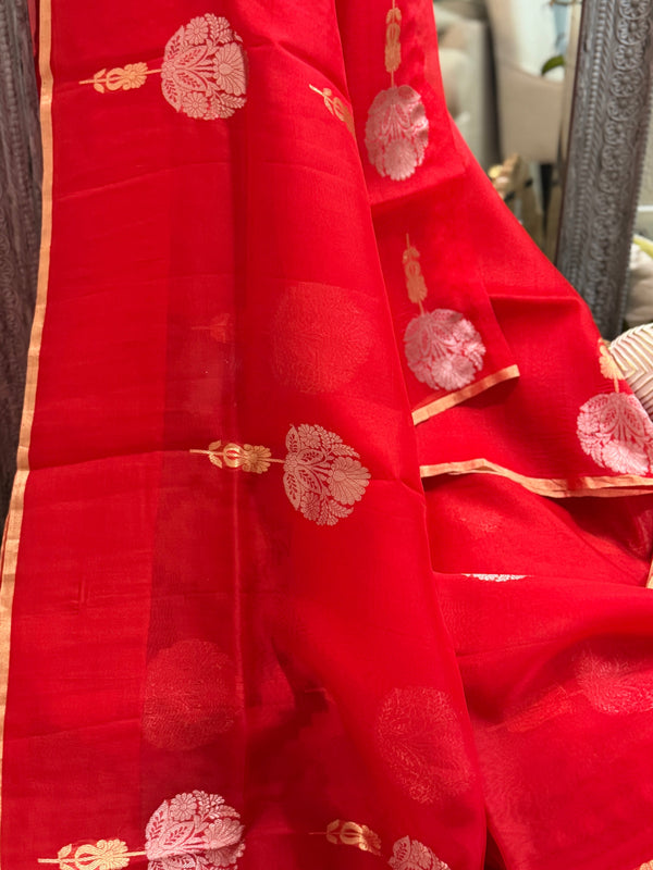 Banarasi Kora Organza Silk Saree